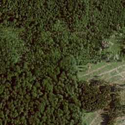 Satellite imagery of Königskopf, DE