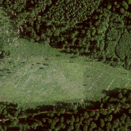 Satellite imagery of Königskopf, DE