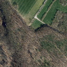 Satellite imagery of Iberg, DE
