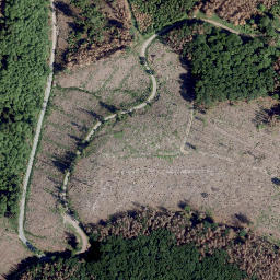 Satellite imagery of Steinberg, DE