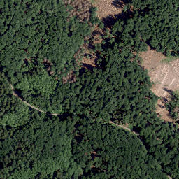 Satellite imagery of Steinberg, DE