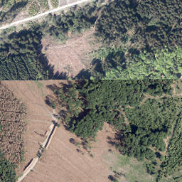 Satellite imagery of Großer Steinberg, DE