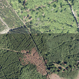 Satellite imagery of Kleiner Äsberg, DE