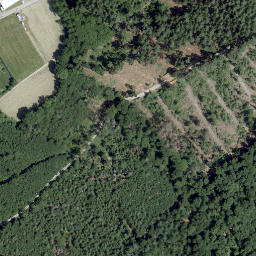 Satellite imagery of Schwickartsberg, DE