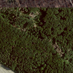 Satellite imagery of Hoher Steiger, DE