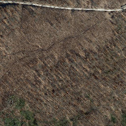 Satellite imagery of Ziegenrück, DE