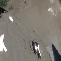 Satellite imagery of Walcott Peak, CA