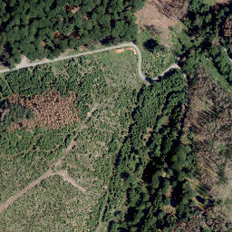 Satellite imagery of Battenberg, DE