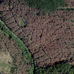 Satellite imagery of Steinberg, DE