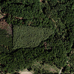 Satellite imagery of Höhe, DE