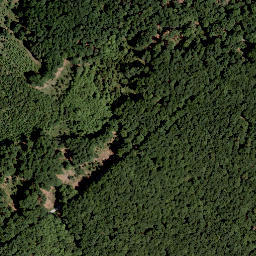 Satellite imagery of Höhe, DE