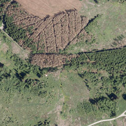 Satellite imagery of Großer Steinberg, DE