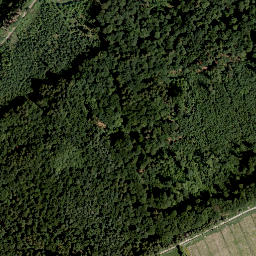 Satellite imagery of Schälhorn, DE