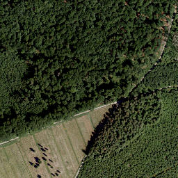 Satellite imagery of Schälhorn, DE