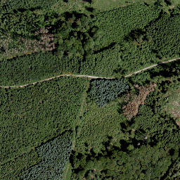 Satellite imagery of Schälhorn, DE