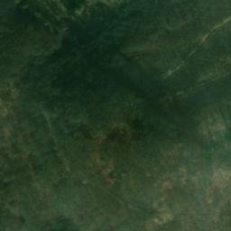 Satellite imagery of Priester, DE