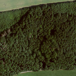 Satellite imagery of Königskopf, DE