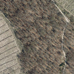 Satellite imagery of Zinkspitze, DE