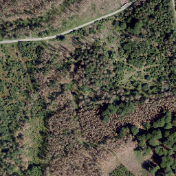 Satellite imagery of Hohe Bracke, DE