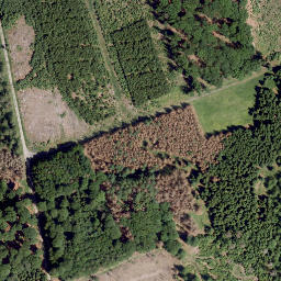 Satellite imagery of Battenberg, DE