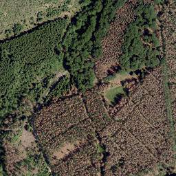 Satellite imagery of Battenberg, DE