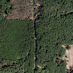 Satellite imagery of Steinberg, DE