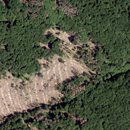Satellite imagery of Steinberg, DE
