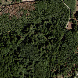 Satellite imagery of Höhe, DE