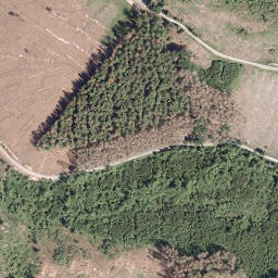 Satellite imagery of Großer Steinberg, DE