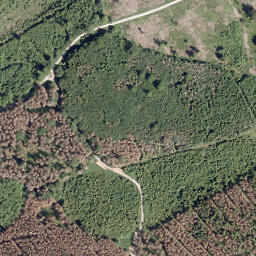 Satellite imagery of Großer Steinberg, DE