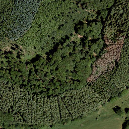 Satellite imagery of Schälhorn, DE