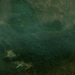Satellite imagery of Priester, DE