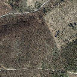 Satellite imagery of Langenberg, DE