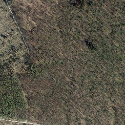 Satellite imagery of Langenberg, DE