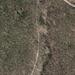 Satellite imagery of Langenberg, DE