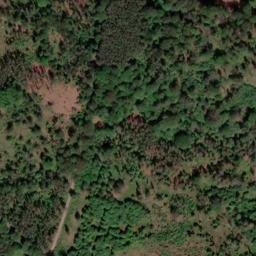 Satellite imagery of Burzelberg, DE