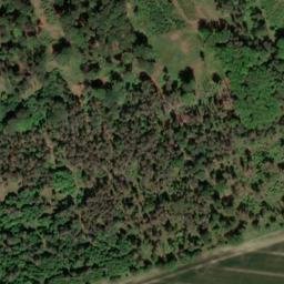 Satellite imagery of Burzelberg, DE