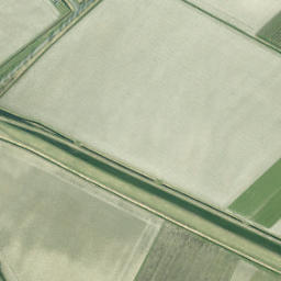 Satellite imagery of Willebroeksnol, NL
