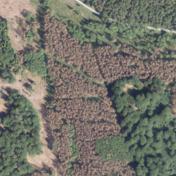 Satellite imagery of Dickeberg, DE