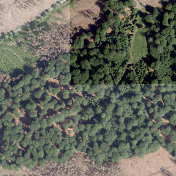 Satellite imagery of Hohe Bracke, DE