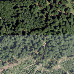 Satellite imagery of Hohe Bracke, DE