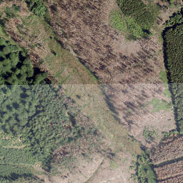 Satellite imagery of Hohe Bracke, DE
