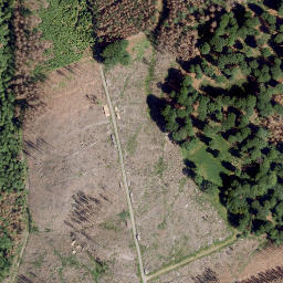 Satellite imagery of Battenberg, DE