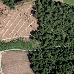 Satellite imagery of Meidenberg, DE