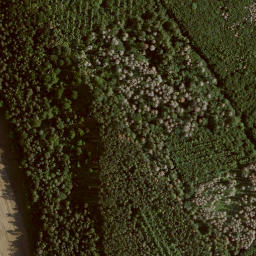 Satellite imagery of Esseberg, DE