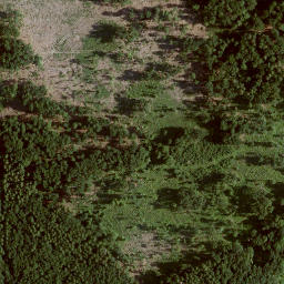 Satellite imagery of Steinberg, DE