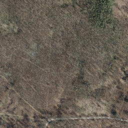 Satellite imagery of Langenberg, DE