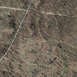 Satellite imagery of Langenberg, DE