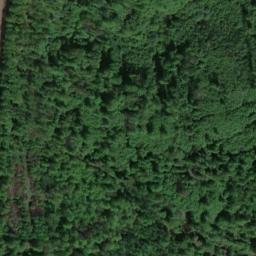 Satellite imagery of Mittelberg, DE