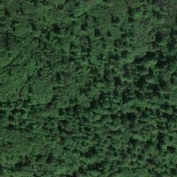 Satellite imagery of Mittelberg, DE